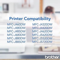 Brother LC2033PKS Ink Cartridge