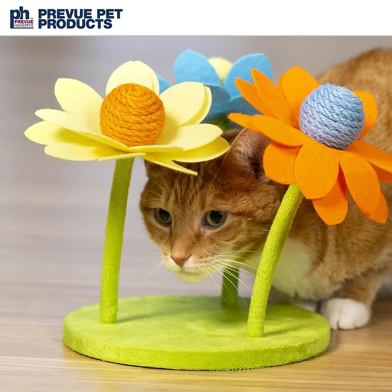 Prevue Pet Play n Sway Cat Toy