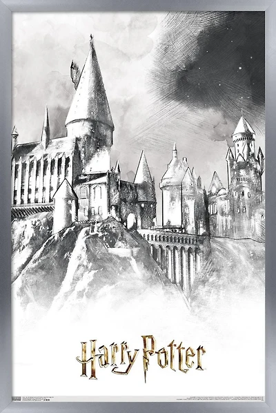 The Wizarding World: Harry Potter - Illustrated Hogwarts Wall Poster, 22.375" x 34"
