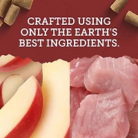 Zuke's Lil’ Links Sausage-Style Pork & Apple Recipe, Dog Treats, 170 g, 170 g
