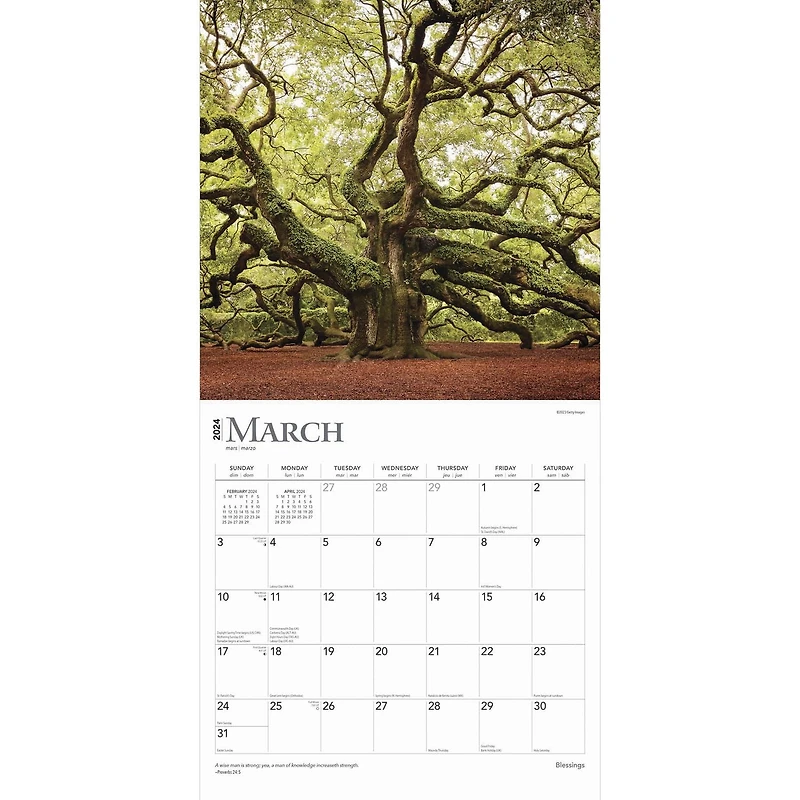 BrownTrout Blessings 2024 12x24 Inch Square Wall Calendar, 9781975461812