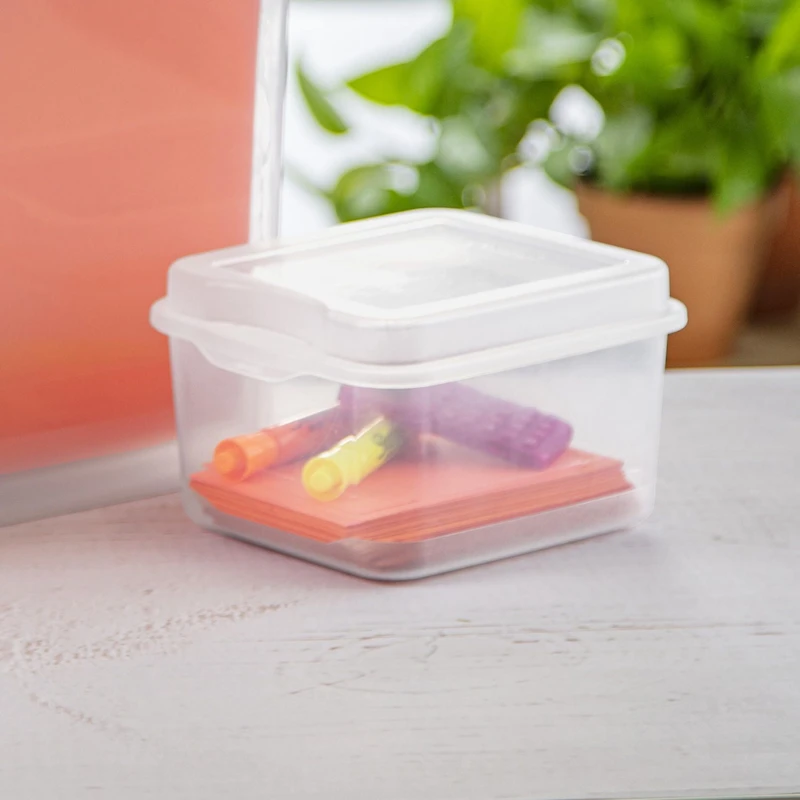 Sterilite  BoÎte à Rabat Solution polyvalente et pratique