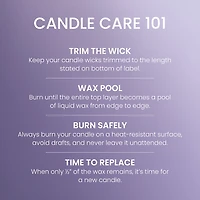 Bougie parfumée Yankee Candle Signature, bougie en pot format grand 2 mèches