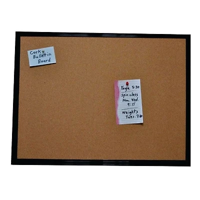 Jelinek Cork Gym Bulletin Board, 18” x 24” framed
