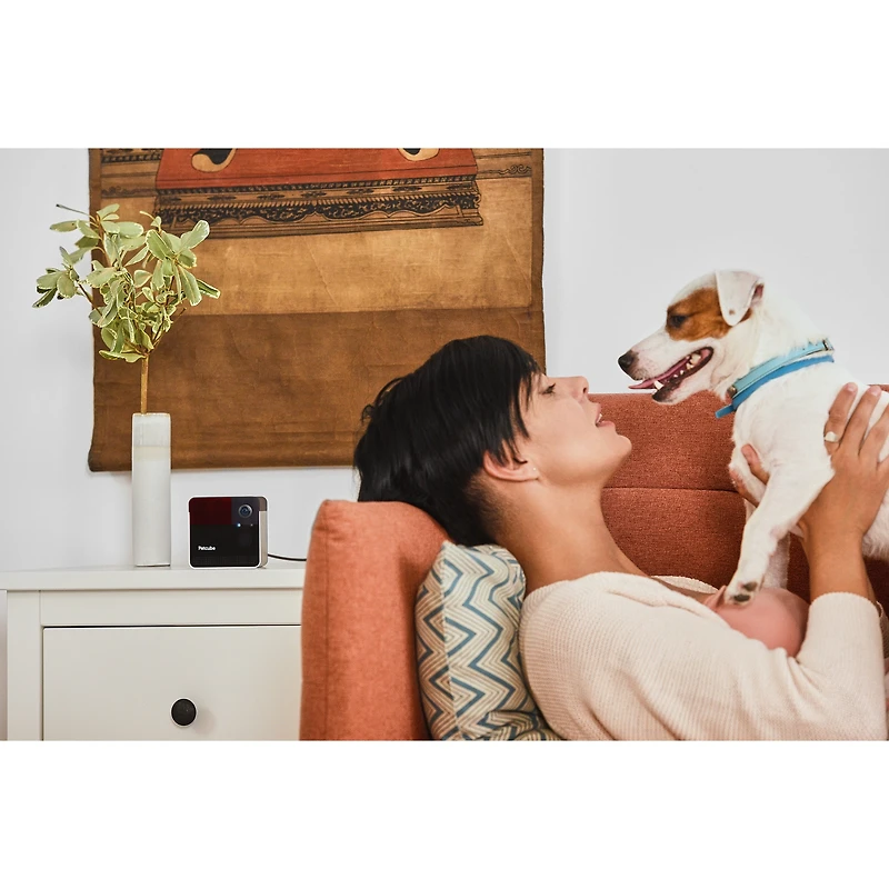 Petcube Caméra Wi-Fi Petcube Play 2 avec jouet laser pour chats et chiens