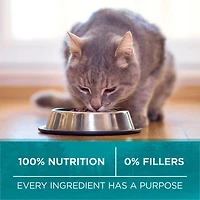 Purina ONE True Instinct Grain Free Chicken, Dry Cat Food 1.45kg