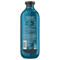 Herbal Essences Argan Oil Paraben Free Shampoo, Hair Repair, with Certified Camellia Oil and Aloe Vera, For All Hair Types, Especially Damaged Hair, 400ML