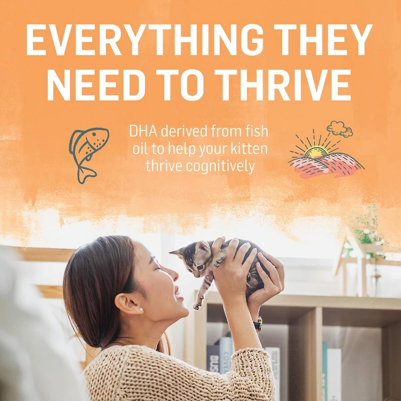 Beyond Recette de Poulet d'Avoine, Nourriture pour Chatons 1,36 kg 1,36 kg