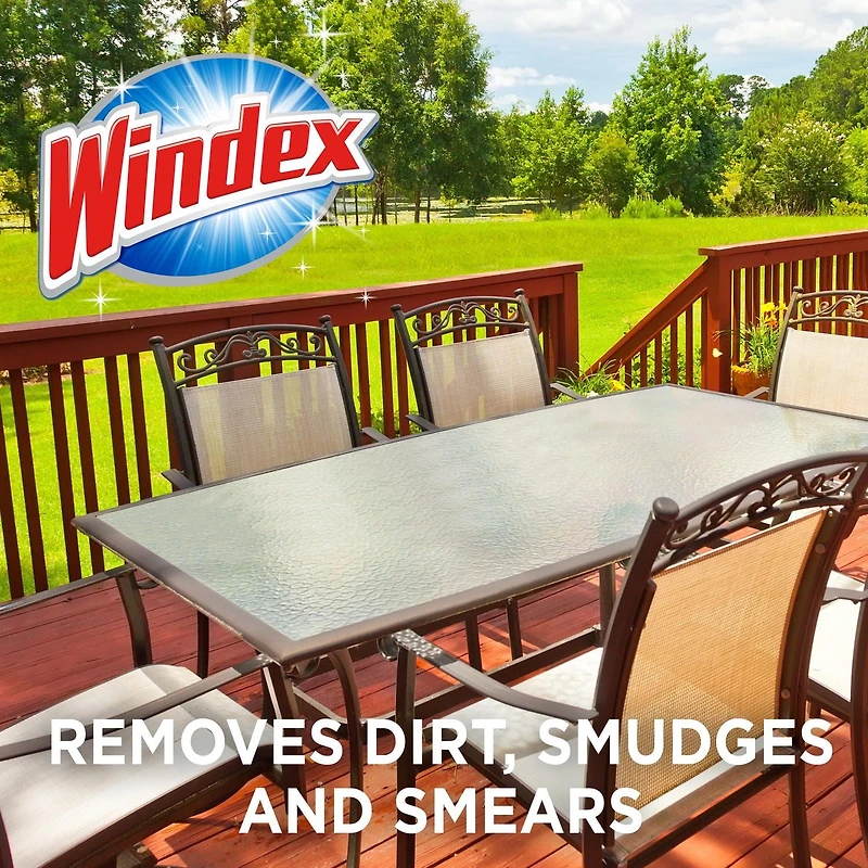 Windex Outdoor Window, Glass, and Patio Cleaner Refill