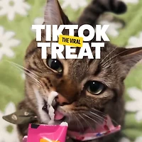 BONKERS™ Licky Tubes™, gâteries crémeuses pour chat à saveur de poulet, 4 tubes Emballage de 4 gâteries à saveur de poulet