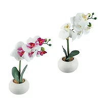 REAL TOUCH ORCHID X 5 FLOWERS IN WHITE CERAMIC POT, 2 ASSORTED, 37CM