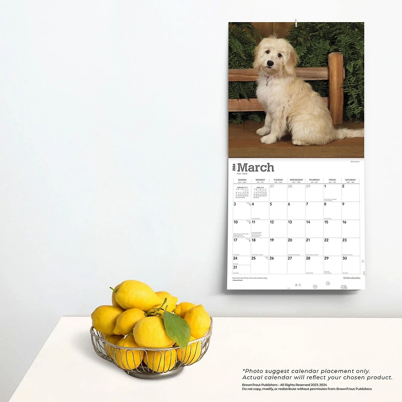 BrownTrout Goldendoodles 2024 12x24 Inch Square Wall Calendar, 9781975462932