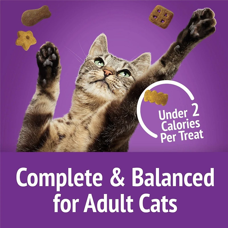 Friskies Party Mix Kahuna Crunch, Cat Treats 170g, 170 g