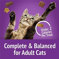 Friskies Party Mix Kahuna Crunch, Cat Treats 170g, 170 g