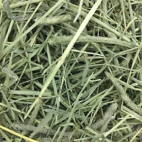 Oxbow Western Timothy Hay Food, 144oz / 9lb