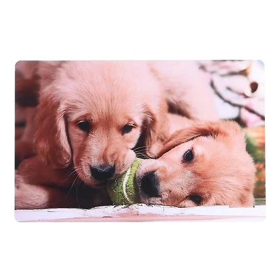 Plate-Mémoire En Plastique (Ballon À Mâcher Des Chiens) - Ensemble De 12
