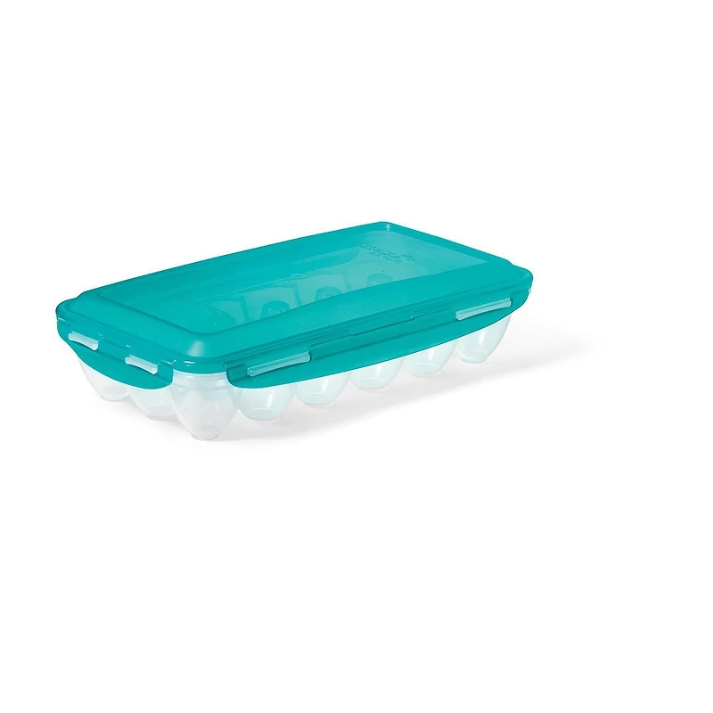Starfrit LocknLock Contenant à Œufs, Capacité 18 œufs, Couvercle Hermétique, Sans BPA, Va au Lave-Vaisselle, Rangement Frigo, Durable & Garde la Fraîcheur