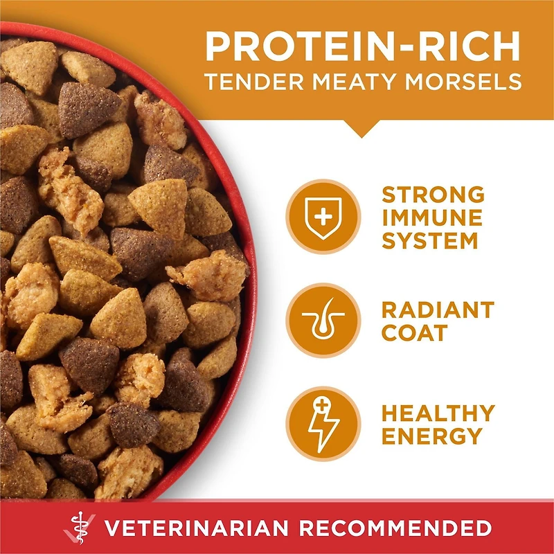 Purina ONE Chicken & Rice Formula, Dry Dog Food, 3.6-17.5 kg