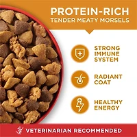 Purina ONE Chicken & Rice Formula, Dry Dog Food, 3.6-17.5 kg
