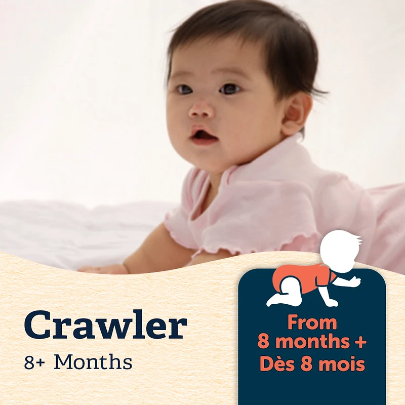 GERBER Céréales Pour Bébés Étape 3 Avoine Avec Banane Et Mangue