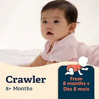 GERBER Céréales Pour Bébés Étape 3 Avoine Avec Banane Et Mangue