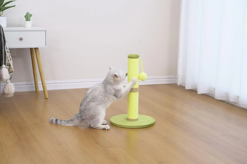 Home4Cat 17.1" Tall Dual-Function Recycled Paper Cat Scratching Post, Green, Playful & eco-friendly scratcher