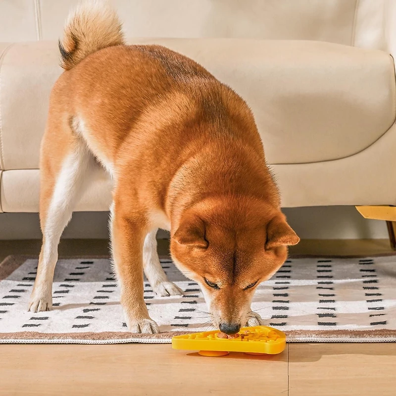 Hugsmart Pizza Slow Feeder Dog Bowl