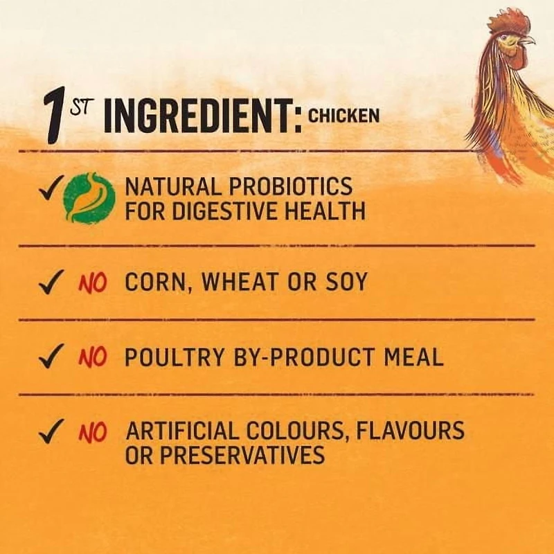 Beyond Grain Free Farm-Raised Chicken & Egg Recipe, Dry Dog Food 4.5KG