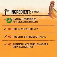 Beyond Grain Free Farm-Raised Chicken & Egg Recipe, Dry Dog Food 4.5KG