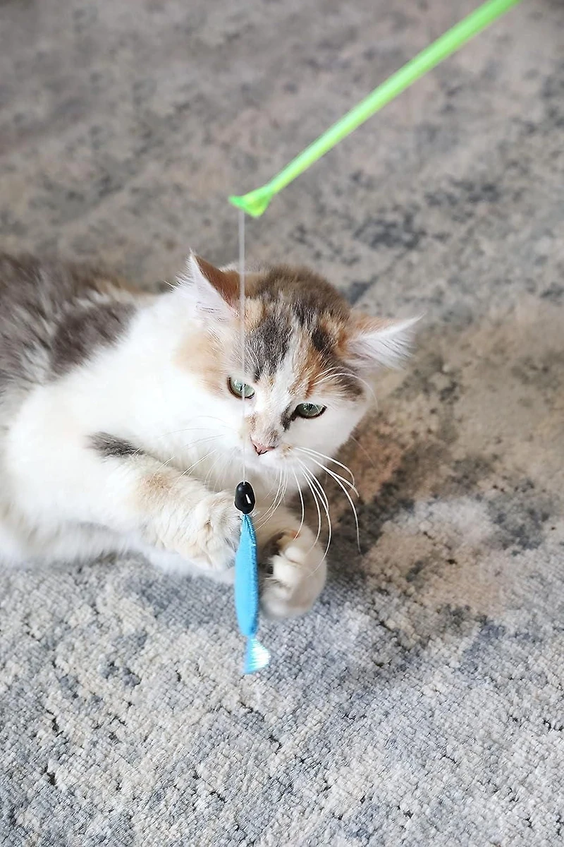 Quirky Kitty Reel Fun Baguette de pêche lumineuse et interactive pour chat