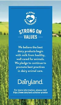 Dairyland Breuvage de lait à la fraise 1 % 1 litre