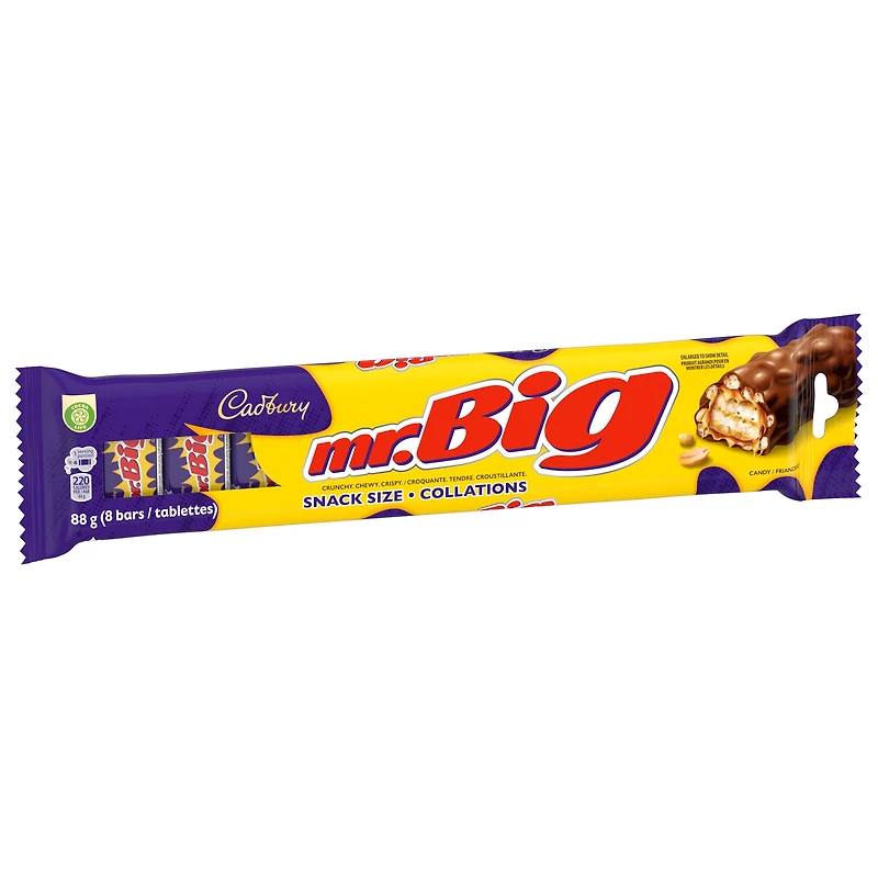 CADBURY MR. BIG, Chocolatey Candy Bar, Snack Size 8ct, 88 g