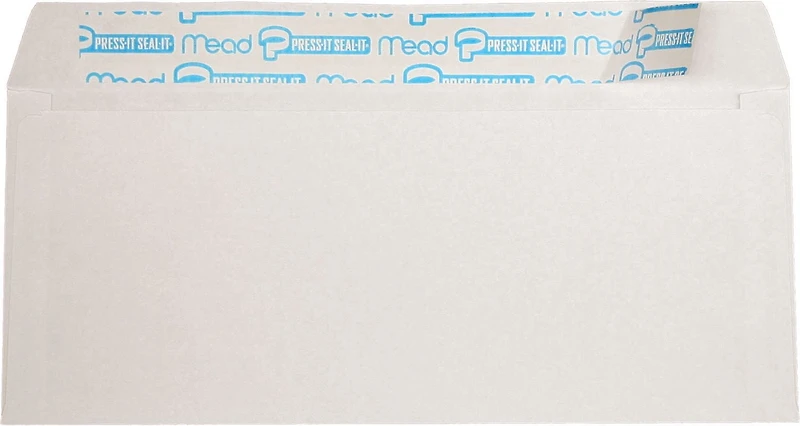 Hilroy White Envelopes 4x9, 1,200ct
