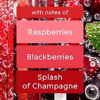 Glade® Wax Melt Air Freshener Refills, Bubbly Berry Splash, 6 Melts
