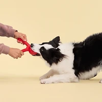 Playology Branche craquante Bœuf Jouet parfumé pour chien