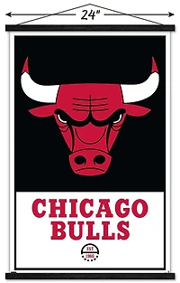 NBA Chicago Bulls