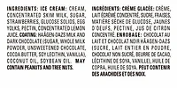 HÄAGEN-DAZS Strawberry Gelato Bars
