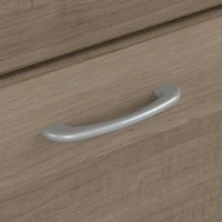 Classeur latéral à 2 tiroirs Cabot de Bush Furniture, gris cendré