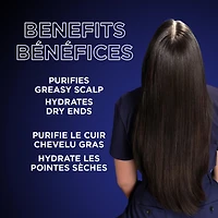 Garnier Whole Blends Magnetic Charcoal Purifying Shampoo for Greasy Scalp, Hydrates Dry Ends for Up to 48-Hours, with Charcoal - 346ml, Purifies greasy scalp