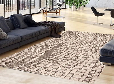 ECARPET Indoor Outdoor Area Rug for Patio, Deck, Living Room Sisal Safari Collection