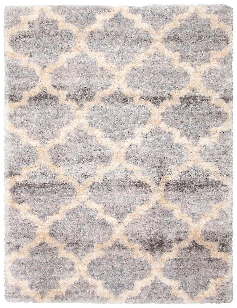 ECARPET Trellis Frieze Area Rug Fluffy Carpet for Bedroom, Ultra Soft & Plush Annica Collection