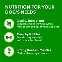Iams Minichunks Adult Dry Dog Food Chicken & Whole Grains Recipe, 1.5-17.46kg