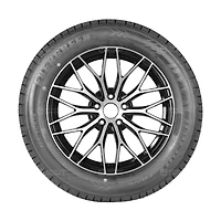 Evergreen Tire EA721 205/55R17XL 95H All Weather Tire