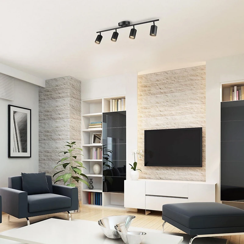 Rail d’éclairage à 4 ampoules de 30 po noir mat