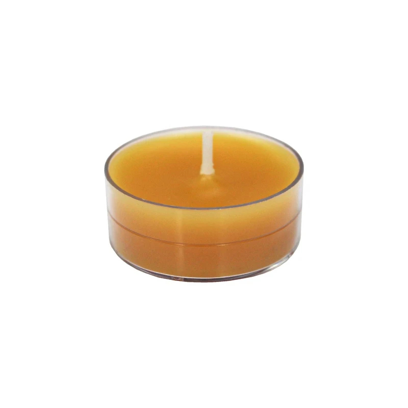24-Pack Mulled Cider Scented Clear Cup Tealight Candle