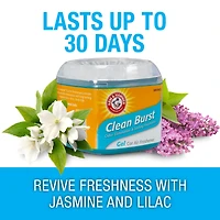 Arm and Hammer Gel Air Freshener, Clean Burst, Gel Air Freshener