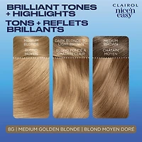 Clairol Nice'n Easy Permanent Hair Dye, 100% Gray Coverage