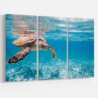 Design Art Grande Tortue Imbriquée Art Sur Toile