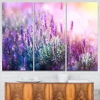 Design Art Growing And Blooming Lavender Floral Photo Canvas Art Print