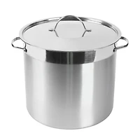 Mainstays 20QT Stainless Steel Stockpot